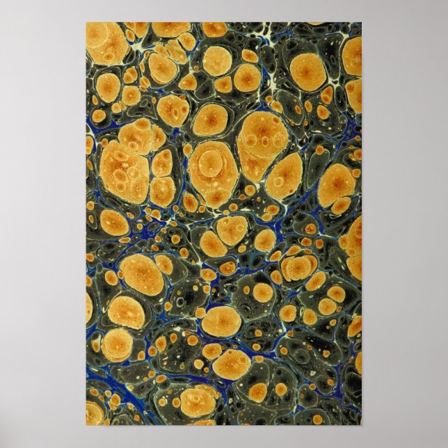 Abstract Poster (Front)