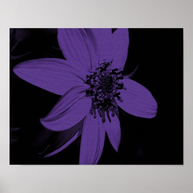 Abstract Purple Sunflower Flower Poster (Front)