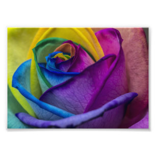 Abstract Rainbow Rose Photo Print