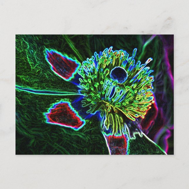 Abstract Rock Rose postcard (Front)