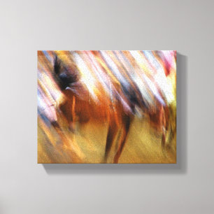abstract Rodeo Canvas Print