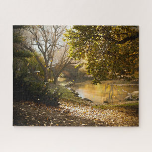 Abstract Scene . Central Park New York. Jigsaw Puzzle