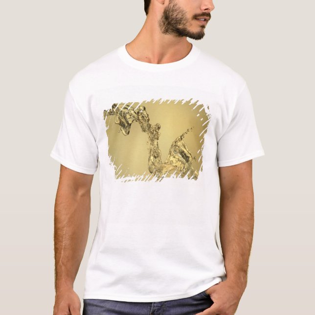Abstract Shape Formed by Splashing Water T-Shirt (Front)