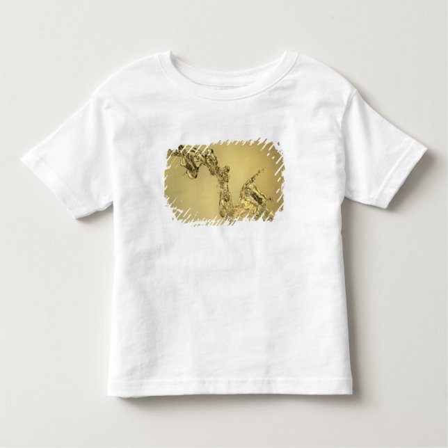 Abstract Shape Formed by Splashing Water Toddler T-Shirt (Front)