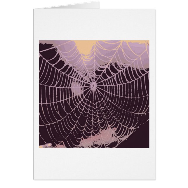 Abstract Spider  Web (Front)