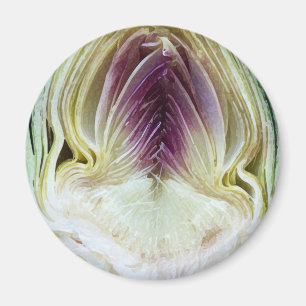 Abstract Textures Artichoke Profile Magnet