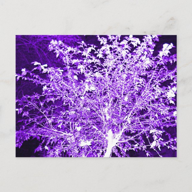 Abstract Tree Postcard (Front)