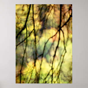 Abstract Trees Poster
