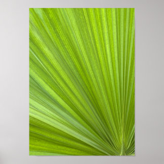 Abstract Tropical Green Palm Frond Poster