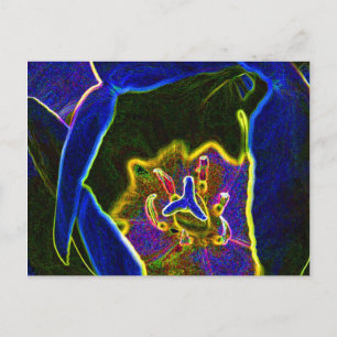 Abstract Tulip postcard
