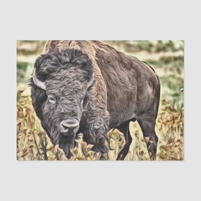 Abstract Western Buffalo Tissue Paper (Front)