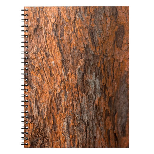 Abstract wood skin texture background. abstract, a notebook (Front)