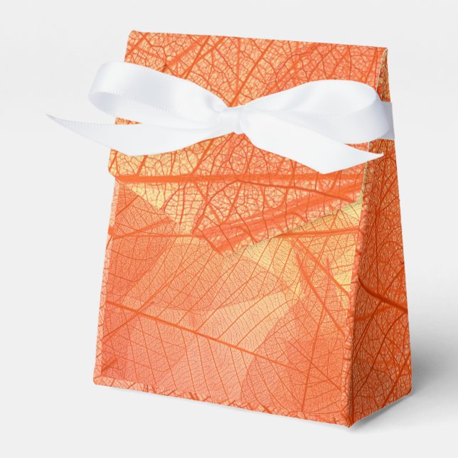    Abstract Wraps 6 Favour Box (Front Side)