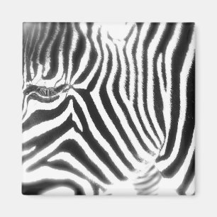 Abstract Zebra Magnet