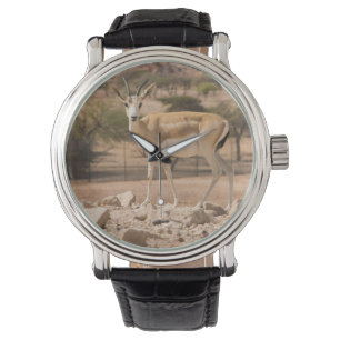 Abu Dhabi Watch