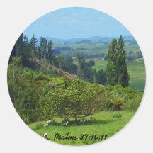 Abundance of Peace Sticker