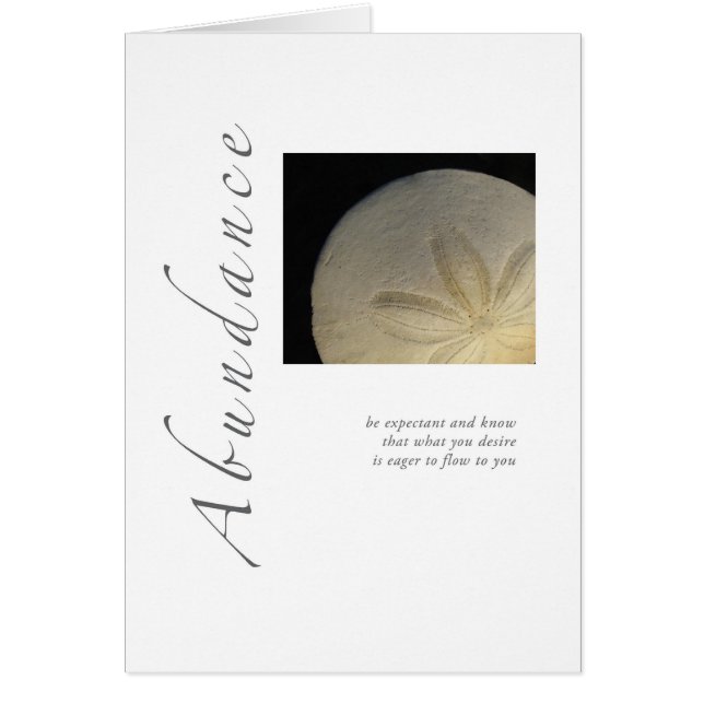 Abundance Sand Dollar (Front)