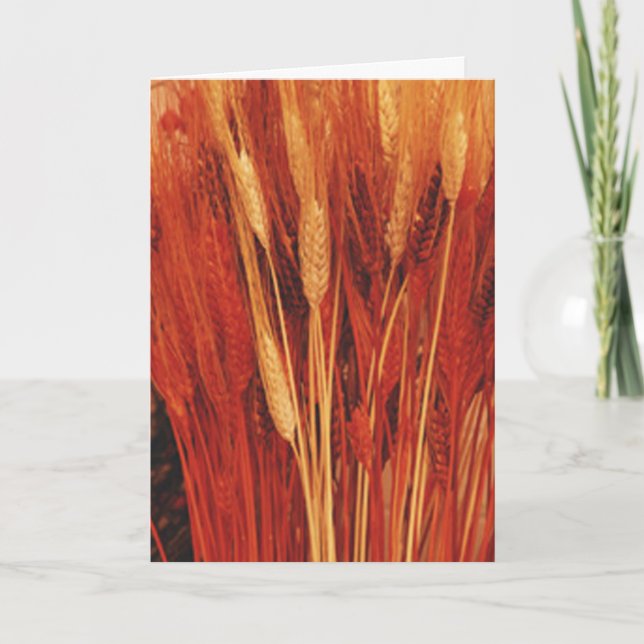 Abundant Blessings Holiday Card (Front)