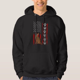 Abyssinian Cat 4th Of July Patriotic American Flag Hoodie