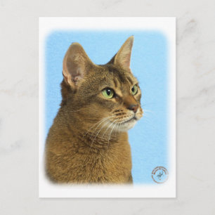 Abyssinian Cat 9Y009D-032 Postcard