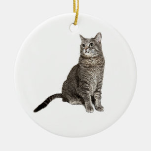 Abyssinian Cat  Ceramic Tree Decoration