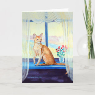 Abyssinian Cat Greeting Cards
