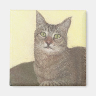 Abyssinian Cat Magnet