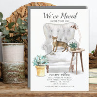 Abyssinian Cat Moving Announcement