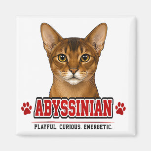 🐾 Abyssinian Cat Owner Family Pride 🐾 Magnet