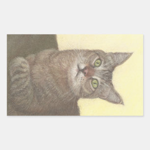 Abyssinian Cat Rectangular Sticker