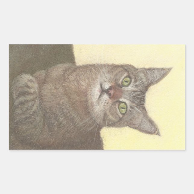 Abyssinian Cat Rectangular Sticker (Front)