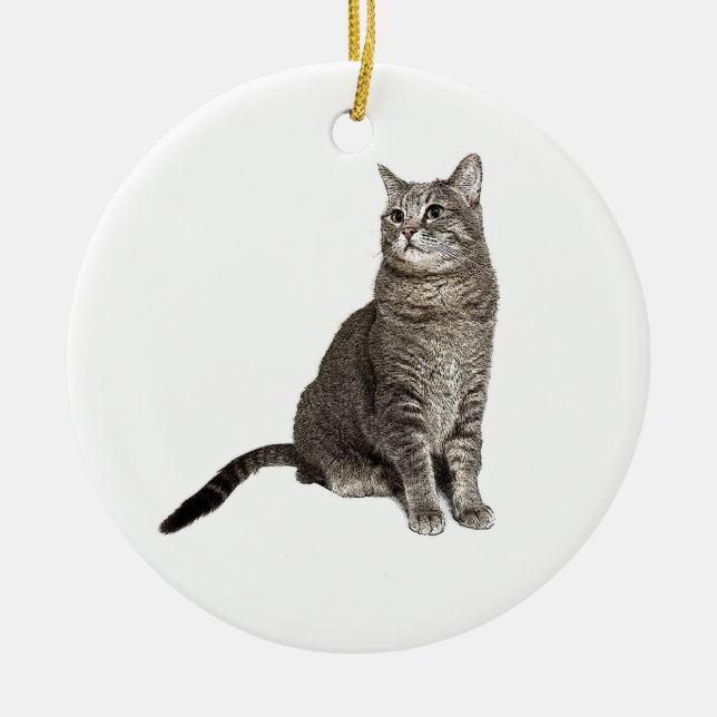 Abyssinian Cat Round Ornament (Front)