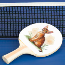 Abyssinian cat surrounded by soft colours and gree