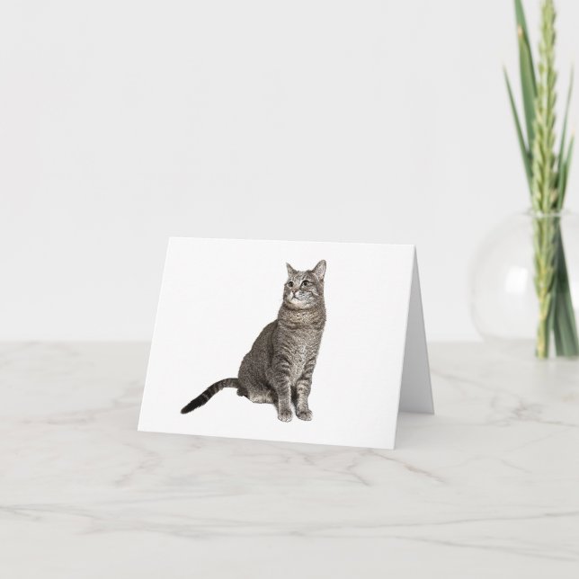 Abyssinian Cat Thank You Card (Front)