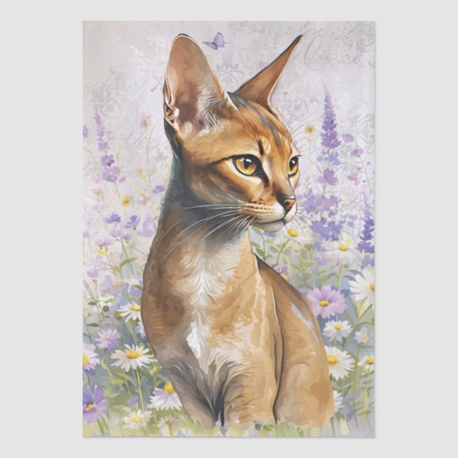 Abyssinian Cat Watercolor Tissue Paper (Front)