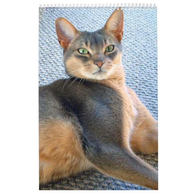 Abyssinian Cats & Kitten Calendar (Cover)