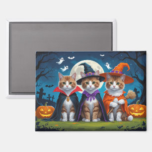 Abyssinian Cats Pumpkin Halloween Funny Magnet