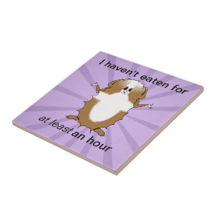 Abyssinian Guinea Pig Comic Tile