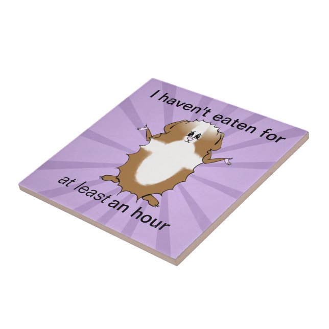 Abyssinian Guinea Pig Comic Tile (Side)