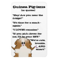 Abyssinian Guinea Pig Sayings