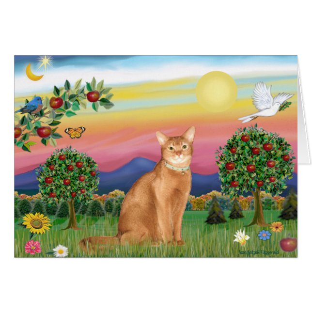 Abyssinian (red 18) - Bright Country (Front Horizontal)