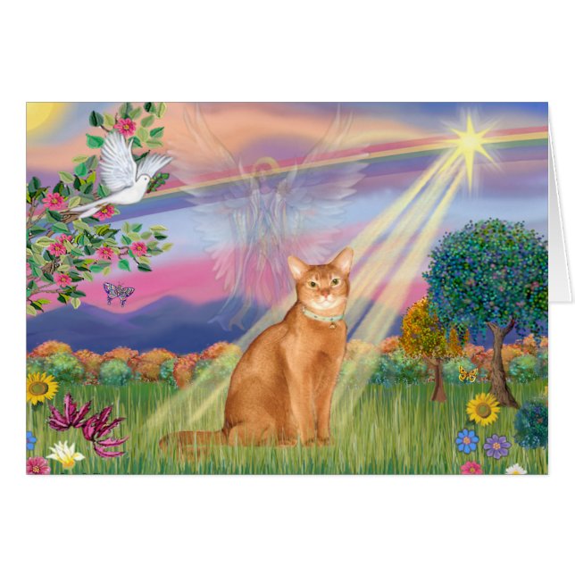 Abyssinian (red 18) - Cloud Angel (Front Horizontal)