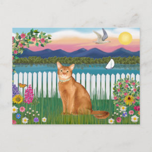 Abyssinian (red 18) - Garden-Shore Postcard