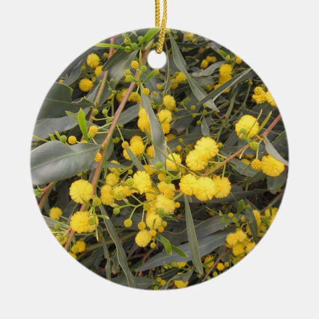 Acacia Ceramic Tree Decoration (Front)