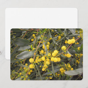 Acacia Flat Holiday Card