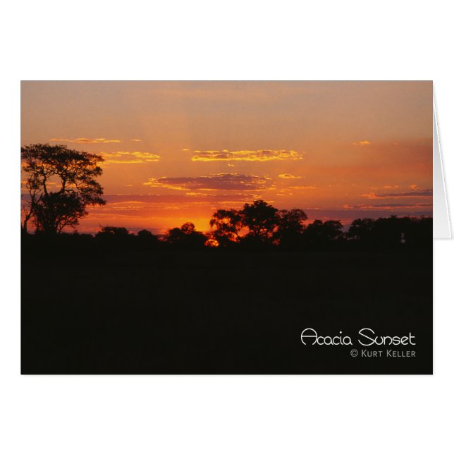 Acacia Sunset (Front Horizontal)