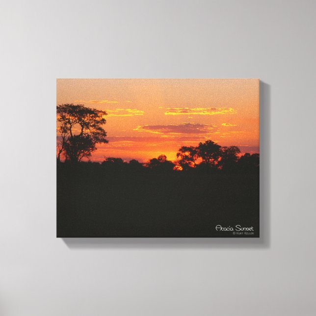 Acacia Sunset Canvas Print (Front)