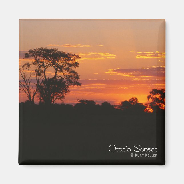 Acacia Sunset Magnet (Front)