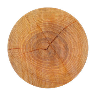 Acacia Tree Cross Section Glass Chopping Board