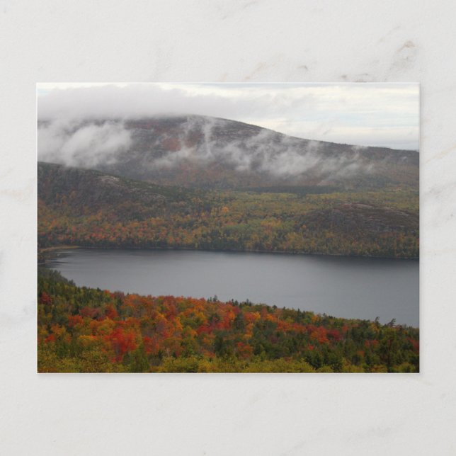 Acadia Fall Trees Postcard (Front)